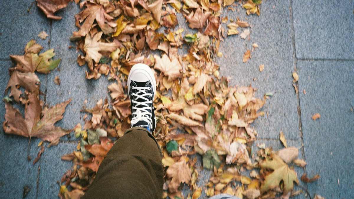 Do You Really Need 10,000 Steps a Day? What the Research Actually Shows