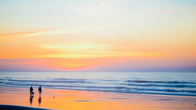 Two people walking along the shore at sunset