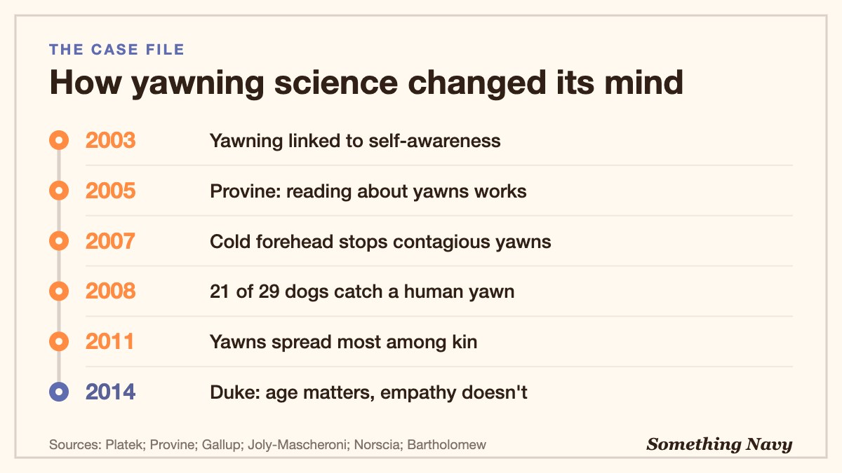 Timeline of yawning research from 2003 to 2014, from the empathy theory to brain cooling, dogs and the Duke study.