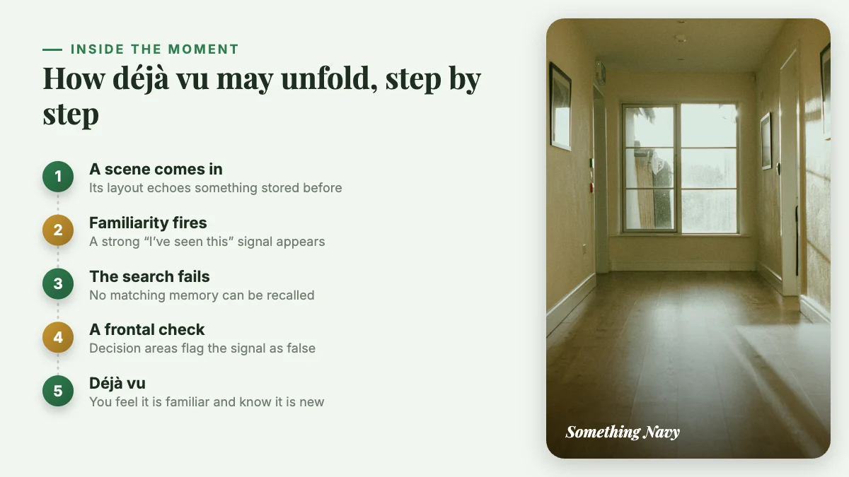 Five numbered steps: a familiar layout, a familiarity signal, a failed memory search, a frontal check, and the déjà vu feeling