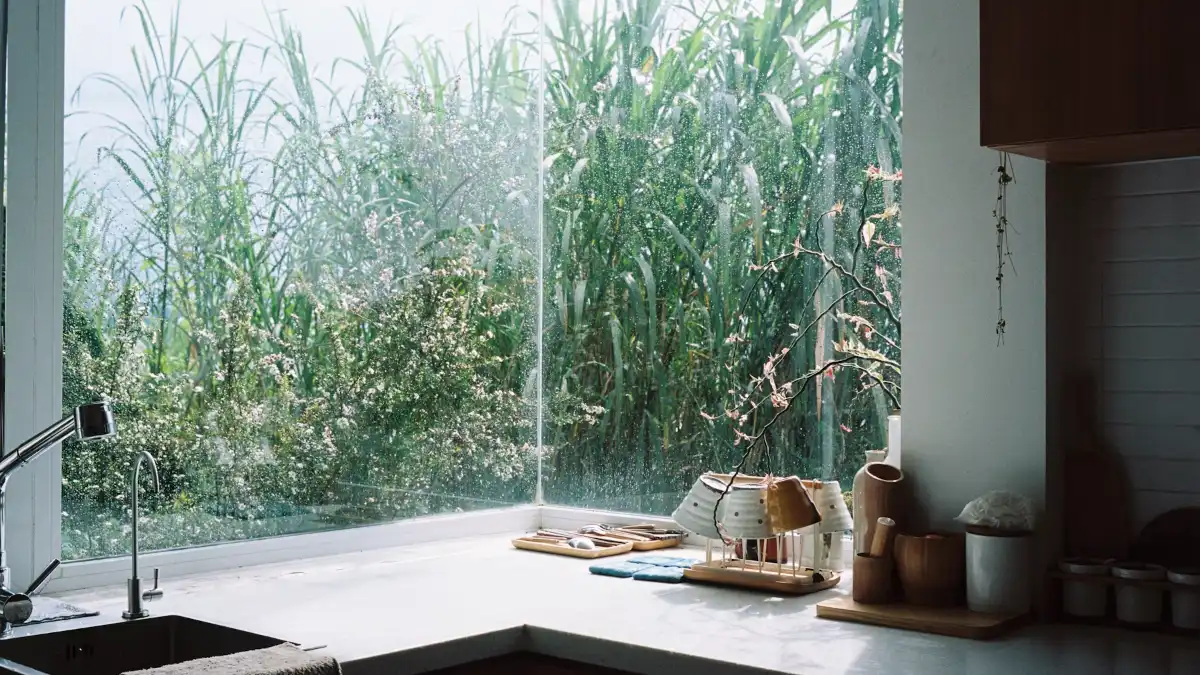 A quiet kitchen with afternoon light coming through a large window