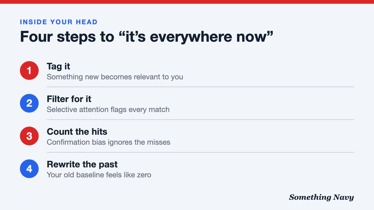 Four numbered steps: tag something as relevant, attention filters for it, confirmation bias counts hits, memory treats the past as zero