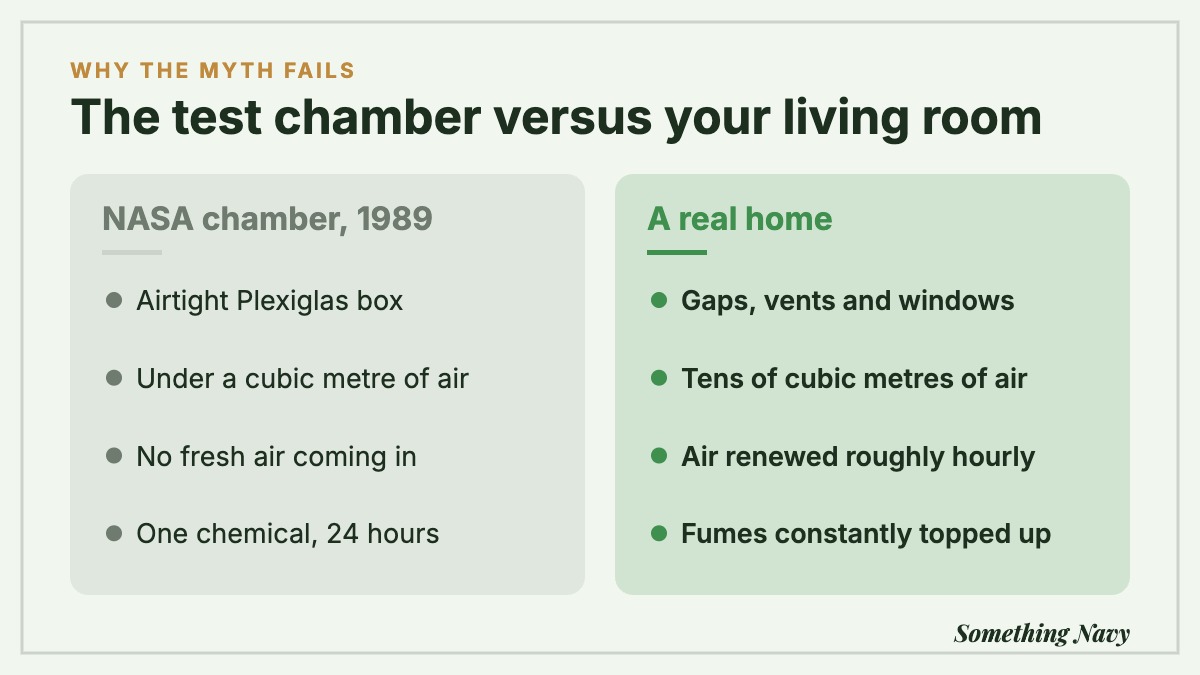 Comparison of NASA's small sealed test chambers with a ventilated home where pollutants keep being added.