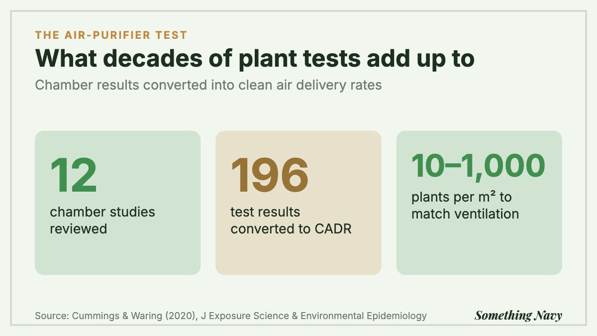 Stat graphic: 12 studies and 196 results reviewed; 10 to 1,000 plants per square metre needed to match normal ventilation.