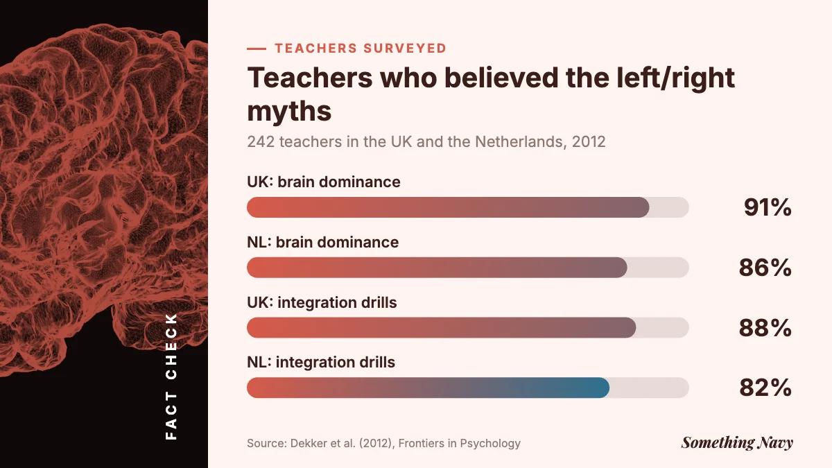 Bar chart: 91% of UK and 86% of Dutch teachers believed the hemisphere dominance myth; 88% and 82% the coordination drills myth.