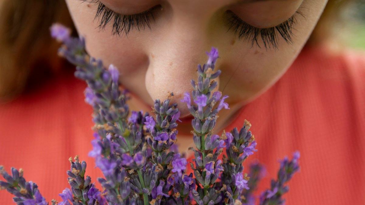 One Sniff Can Take You Back 60 Years. Science Says Your Nose Keeps the Oldest Memories